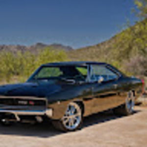 Meet your Posher, Adam